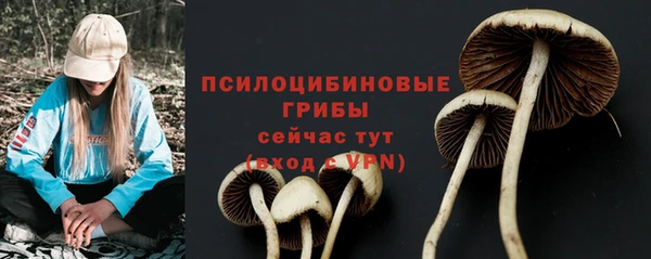 мдпв Горняк
