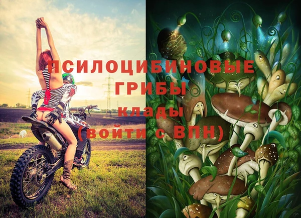 ГАЛЛЮЦИНОГЕННЫЕ ГРИБЫ Гусев