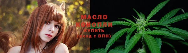 мдпв Горняк