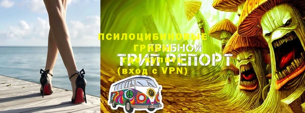 мдпв Горняк