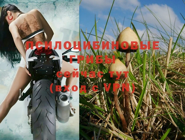 СК Горнозаводск