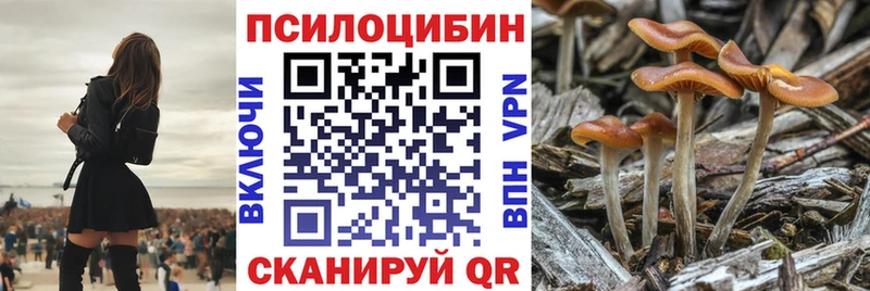 Галлюциногенные грибы прущие грибы  Купить закладки  Лодейное Поле 